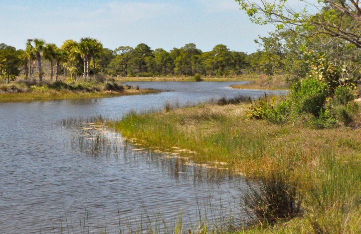 Botanical Gardens-0084