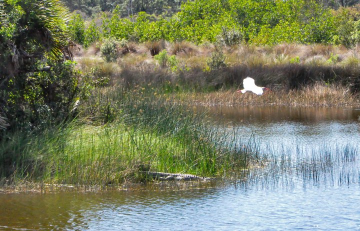 Botanical Gardens-0107