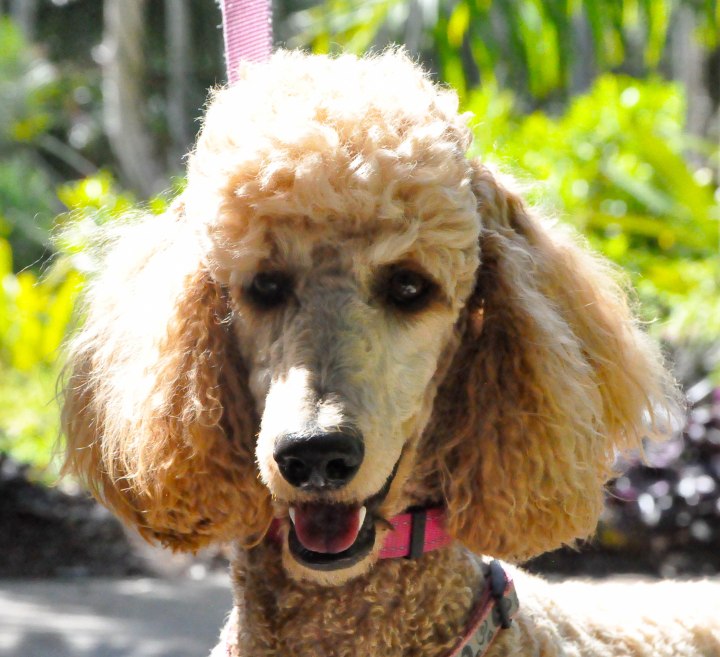 Botanical Gardens-0161