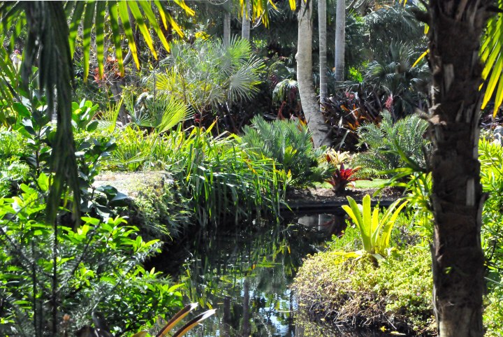 Botanical Gardens-0167