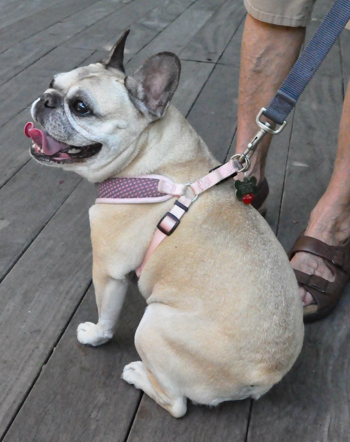 Botanical Gardens-0176